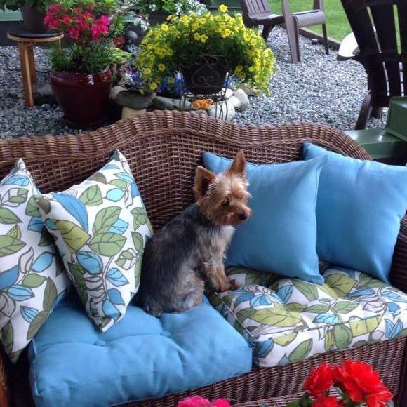 Meet your Posher, Joann - Picture 1 of 1